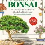 Introduction to Bonsai: Illustrated Beginner's Guide with Growth Schedules & 2,000+ Illustrations | Bonsai Sekai Magazine
