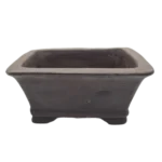Handcrafted Unglazed Rectangular Bonsai Pot - 16cm x 12cm x 5cm | Durable Ceramic | Ideal for Healthy Bonsai Growth