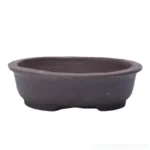 Elegant Unglazed Oval Bonsai Pot - Perfect for Small Bonsai Trees | 18cm x 16cm x 4cm