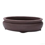 Unglazed Bonsai Pot Oval - Premium Quality 26cm x 20cm x 6cm | Perfect for Bonsai Enthusiasts