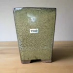 Elegant 11cm Green Glazed Bonsai Pot | Cascade Style | 11cm x 15cm by Bonsai Essentials