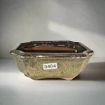 13cm Glazed Green Rectangle Bonsai Pot with Drainage - Perfect for Bonsai Enthusiasts | 13cm x 10cm x 5cm