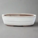 Elegant 20cm White Glazed Oval Bonsai Pot Ideal for Small Indoor Plants