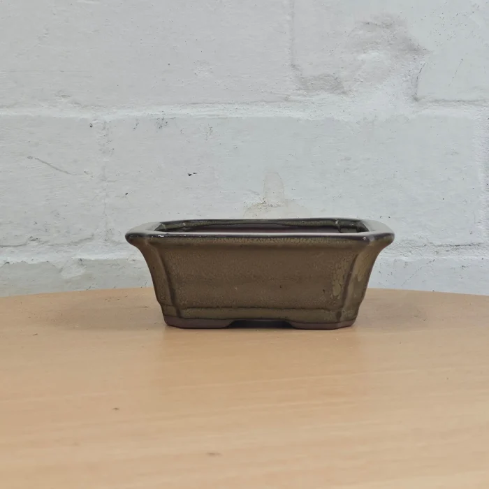 Elegantly Crafted 12cm Green Glazed Rectangular Bonsai Pot - Perfect for Small Bonsai Trees - Image 1