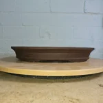 Premium 33cm Oval Unglazed Bonsai Pot - Durable Brown Ceramic with Wiring & Drainage Holes