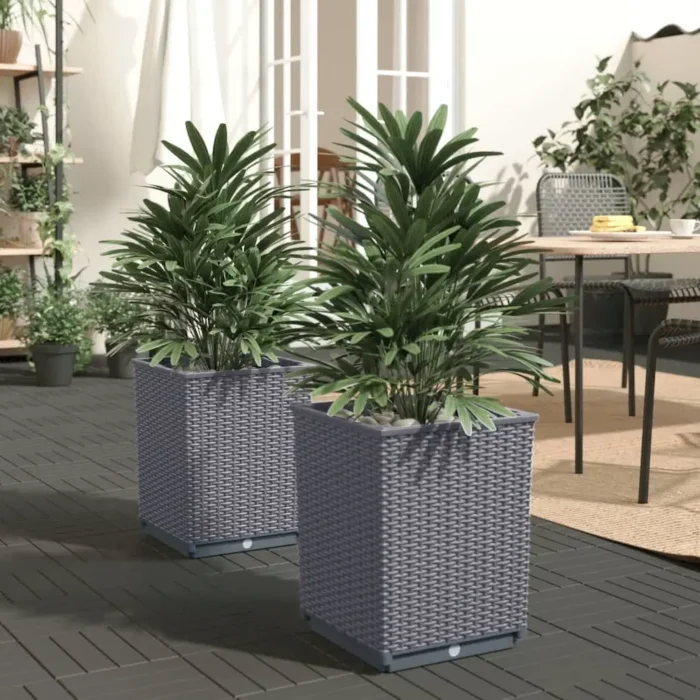 Planters 2 pcs Dark Gray Polypropylene - Elegant and Durable Outdoor Decor - Image 6