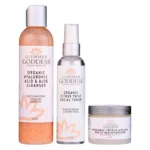 Organic 3 Step Anti-Aging Skin Care Kit - Cleanse, Tone, Hydrate | Natural & Revitalizing