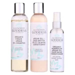 Organic Argan Oil Shampoo and Conditioner with Hair Shine Spray - Silky, Smooth, Shiny Hair - Daily Nourishment & Hydration