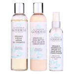 Organic Argan Oil Shampoo and Conditioner with Hair Shine Spray - Silky, Smooth, Shiny Hair - Daily Nourishment & Hydration - Image 7