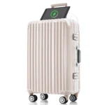 20in Pink Aluminum Frame Carry-On Luggage with USB Port, Spinner Wheels & TSA Lock - Ideal for Business Trips & Beach Holidays