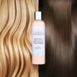 Argan Oil Hair Conditioner with Shea Butter - Ultimate Moisturization & Frizz Control - Image 3