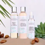 Organic Argan Oil Shampoo and Conditioner with Hair Shine Spray - Silky, Smooth, Shiny Hair - Daily Nourishment & Hydration - Image 4