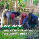 Happy Birthday Tree Kit - Grow Your Own Trees & Support Reforestation - Image 4