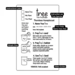 Happy Birthday Tree Kit - Grow Your Own Trees & Support Reforestation - Image 8