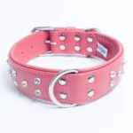 Athens Blingy Dog Collar - Luxurious Genuine Soft Cowhide with Dazzling Replica Diamonds - Image 3