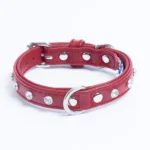 Athens Blingy Dog Collar - Luxurious Genuine Soft Cowhide with Dazzling Replica Diamonds - Image 2
