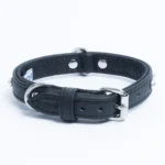 Athens Blingy Dog Collar - Luxurious Genuine Soft Cowhide with Dazzling Replica Diamonds - Image 19