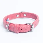 Athens Blingy Dog Collar - Luxurious Genuine Soft Cowhide with Dazzling Replica Diamonds - Image 41