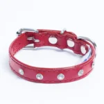 Athens Blingy Dog Collar - Luxurious Genuine Soft Cowhide with Dazzling Replica Diamonds - Image 58