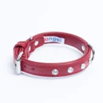 Athens Blingy Dog Collar - Luxurious Genuine Soft Cowhide with Dazzling Replica Diamonds - Image 57