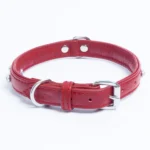 Athens Blingy Dog Collar - Luxurious Genuine Soft Cowhide with Dazzling Replica Diamonds - Image 62