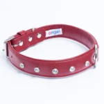 Athens Blingy Dog Collar - Luxurious Genuine Soft Cowhide with Dazzling Replica Diamonds - Image 65