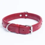 Athens Blingy Dog Collar - Luxurious Genuine Soft Cowhide with Dazzling Replica Diamonds - Image 64