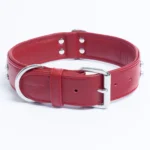 Athens Blingy Dog Collar - Luxurious Genuine Soft Cowhide with Dazzling Replica Diamonds - Image 68