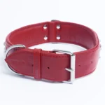 Athens Blingy Dog Collar - Luxurious Genuine Soft Cowhide with Dazzling Replica Diamonds - Image 70
