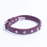 Athens Blingy Dog Collar - Luxurious Genuine Soft Cowhide with Dazzling Replica Diamonds - Image 92