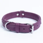 Athens Blingy Dog Collar - Luxurious Genuine Soft Cowhide with Dazzling Replica Diamonds - Image 96