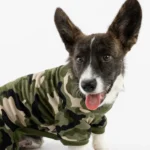 Dog Pajama - Camo | Comfy & Stylish Dog Onesie - Silver Paw Collection - Image 2