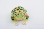 Handcrafted Black Spotted Toad Trinket Box with Austrian Crystals, Enamel Painted, 24K Gold Plated, Magnetic Closure, Gift Box Included - Image 6