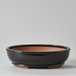 37cm Glazed Oval Bonsai Pot - Elegant Black Finish | Perfect for Bonsai Lovers