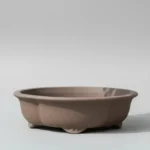 20cm Unglazed Floral Bonsai Pot - Brown | Ideal for Indoor & Outdoor Bonsai Trees