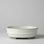 Elegant 16cm White Glazed Bonsai Pot - Oval Design | Perfect Indoor & Outdoor Bonsai Display