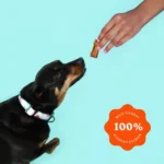 Ava's Pet Palace 100% Wild Alaskan Snappin' Salmon Dog Treats - Single-Ingredient, Human-Grade, All-Natural, 4 oz - Image 5