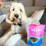 Ava's Pet Palace 100% Wild Alaskan Snappin' Salmon Dog Treats - Single-Ingredient, Human-Grade, All-Natural, 4 oz - Image 7