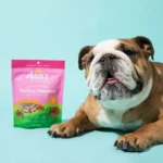 Ava's Pet Palace Freeze-Dried Turkey Poppers Dog Treats, 3oz - Healthy & Delicious Digestive Support for Dogs - Image 4