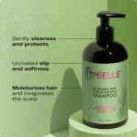 Mielle Rosemary Mint Strengthening Leave-In Conditioner 355ml | Infused with Biotin for Ultimate Moisture, Protection & Shine - Image 2