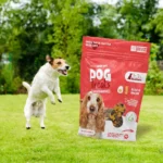 Fresh Baked Eggs and Bacon Soft Dog Chew Treats (2-Pack) - Healthy, Delicious, and Sustainable Snacks for Dogs - Image 2