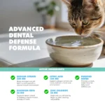 UBAVET Ubadent Dental Water Additive for Dogs & Cats 16 fl oz | Plaque & Tartar Control, Fresh Breath - Image 6