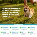UBAVET Joint Gold Joint Care Powder for Dogs & Cats - Advanced Joint Support, 8.8 oz (250g) - Image 7