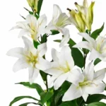 Elegant 90cm White Lily Artificial Flower Plant Tree with Planter - Realistic & Low Maintenance Home Decor - Image 2