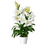 Elegant 90cm White Lily Artificial Flower Plant Tree with Planter - Realistic & Low Maintenance Home Decor - Image 3