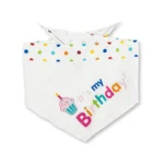 Dog Birthday Party Kit - Celebrate Your Pup's Special Day with Bandana, Hat, Bow Tie & Cupcake Plush Toy - Image 5
