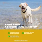 UBAVET MULTIVIT Daily Vitamin and Mineral Tablets for Dogs 90 Chewable Tablets Comprehensive Nutritional Support - Image 3