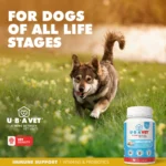 UBAVET MULTIVIT Daily Vitamin and Mineral Tablets for Dogs 90 Chewable Tablets Comprehensive Nutritional Support - Image 6